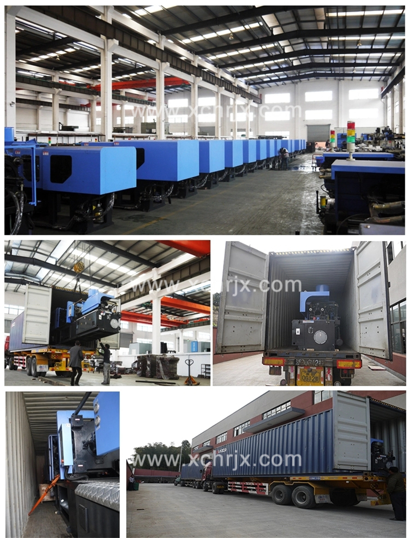 Expansion Screw (2)